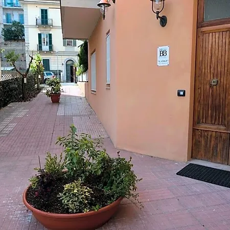 Il Viale